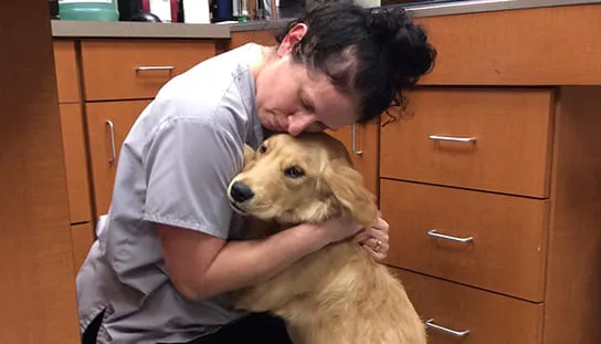 Melrose Animal Clinic Picture 2