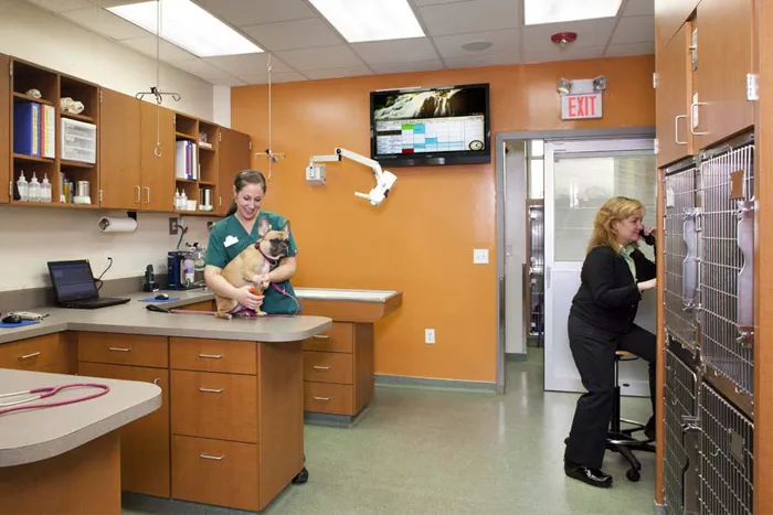 Melrose Animal Clinic Picture 7