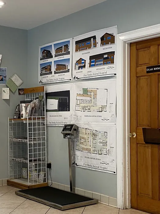 Pine Banks Animal Hospital Picture 3