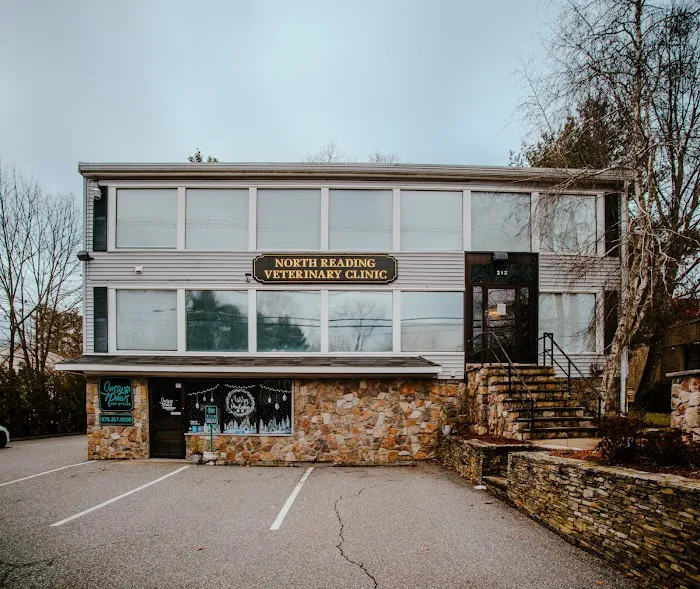 North Reading Veterinary Clinic Picture 8