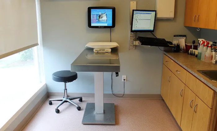 North Reading Veterinary Clinic Picture 6