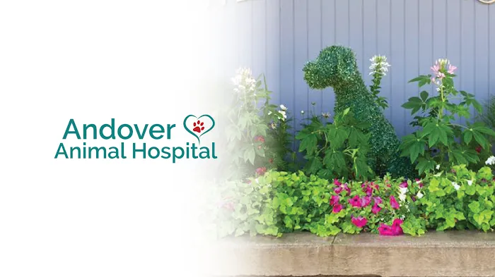 Andover Animal Hospital Picture 10
