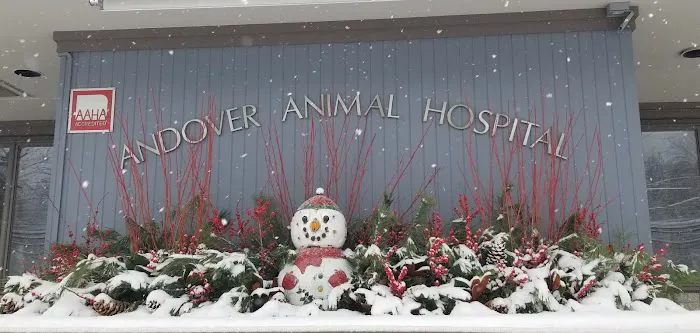 Andover Animal Hospital Picture 4