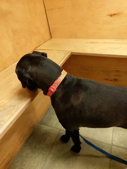 VCA Wakefield Animal Hospital Picture 2