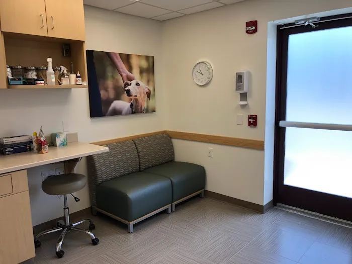 VCA Wakefield Animal Hospital Picture 8