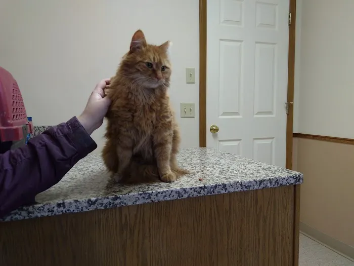 Veterinary Medical Center Picture 2