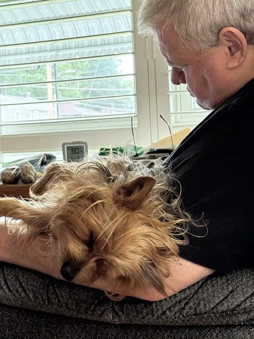 Dickin Memorial Animal Hospital Picture 8