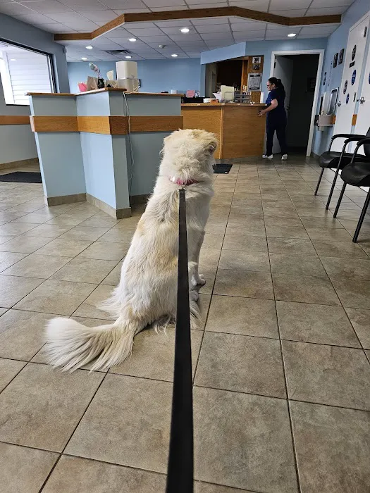 VCA Southern Tier Animal Hospital Picture 7