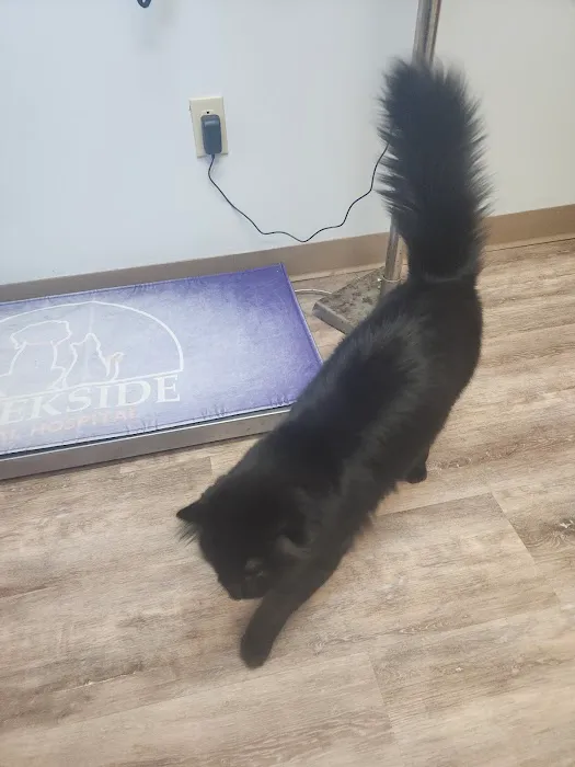 Creekside Animal Hospital Picture 9