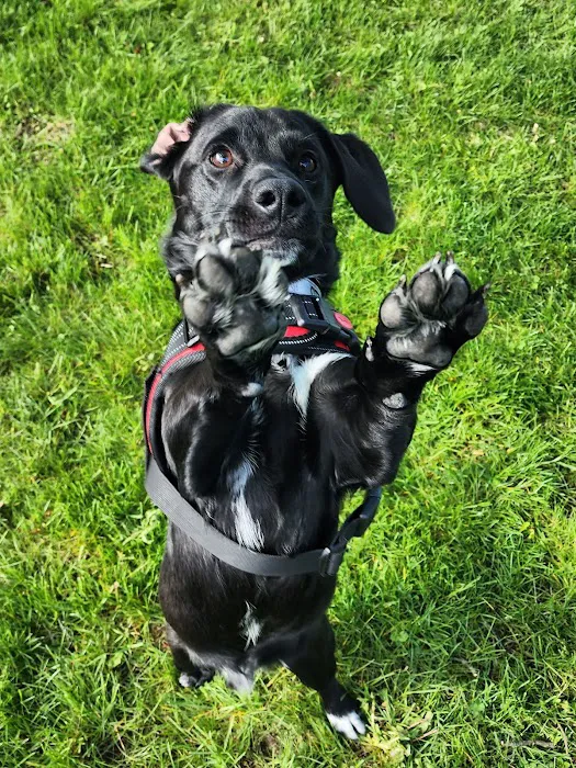 Creekside Animal Hospital Picture 6
