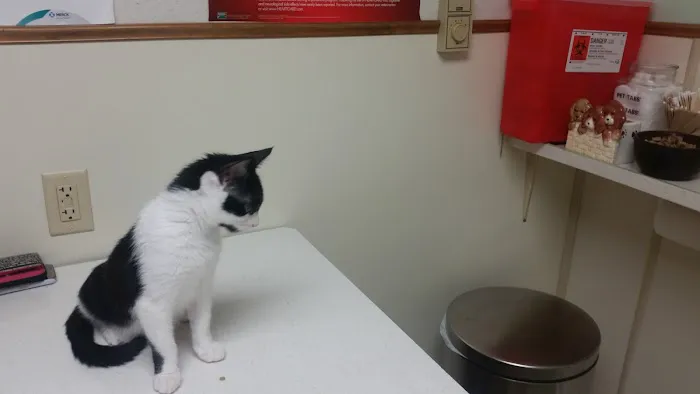 Mahoning Valley Animal Hospital Picture 8