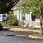 Country Doctor Veterinary Hospital