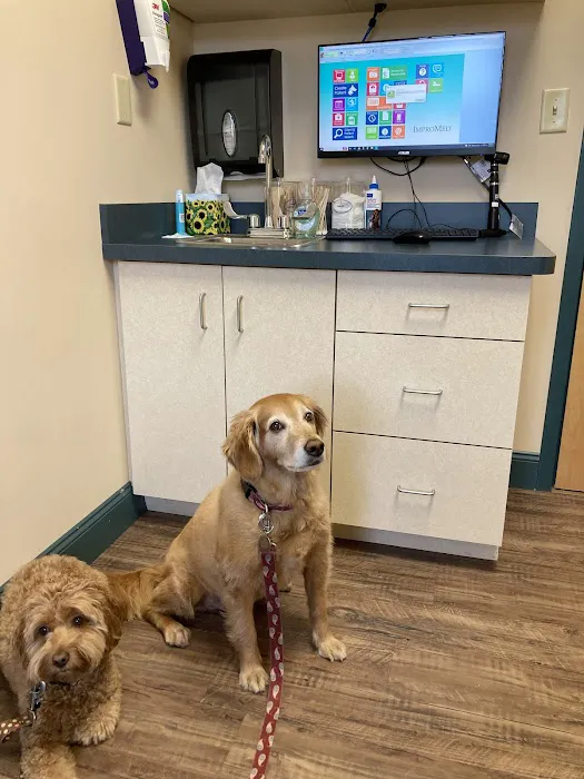 Country Doctor Veterinary Hospital Picture 2