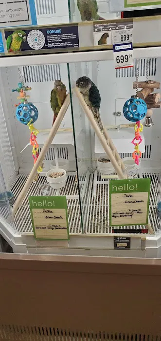 Petco Picture 4