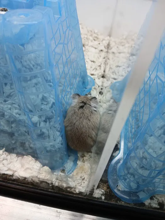 Petco Picture 2