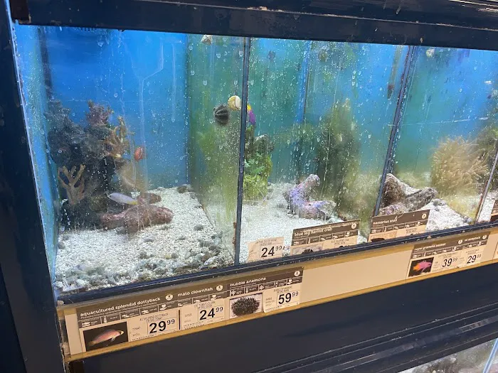 Petco Picture 8
