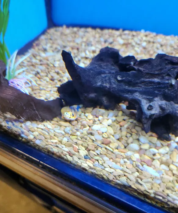 Petco Picture 1