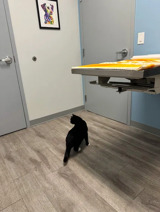 Sunflower Veterinary Center Picture 5