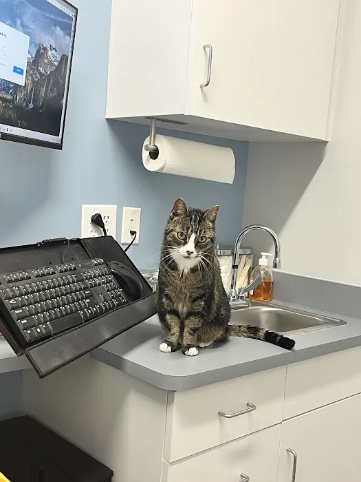 Sunflower Veterinary Center Picture 2