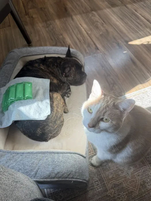 Sunflower Veterinary Center Picture 6
