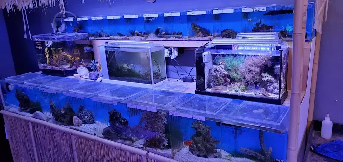 Oceans Paradise Picture 2