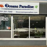 Oceans Paradise ico