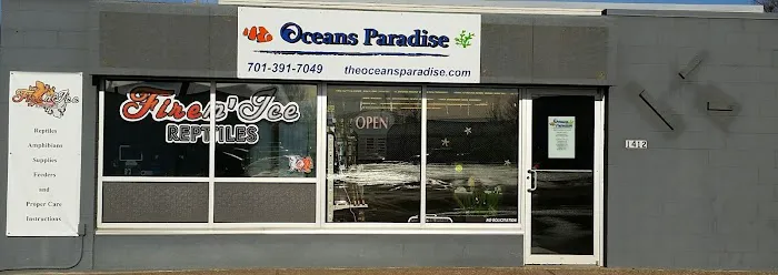 Oceans Paradise Picture 3