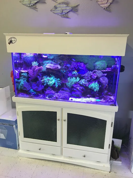 Oceans Paradise Picture 10