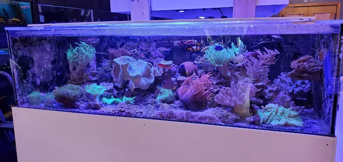 Oceans Paradise Picture 4