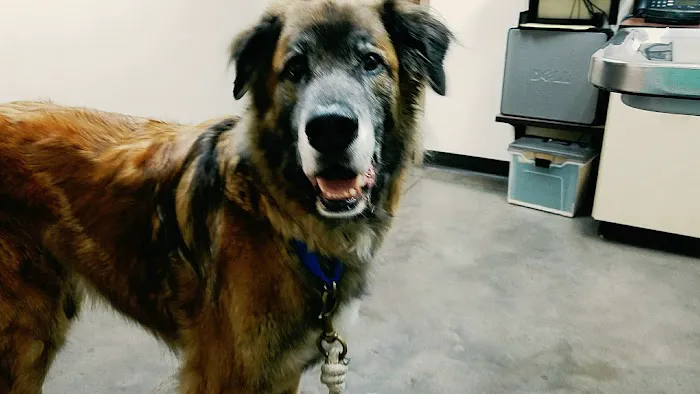 Ringtown Valley Veterinary Hospital Picture 8