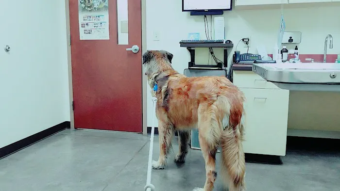 Ringtown Valley Veterinary Hospital Picture 7