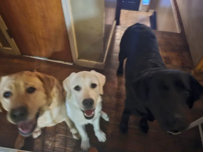 Brunswick Veterinary Hospital Picture 8