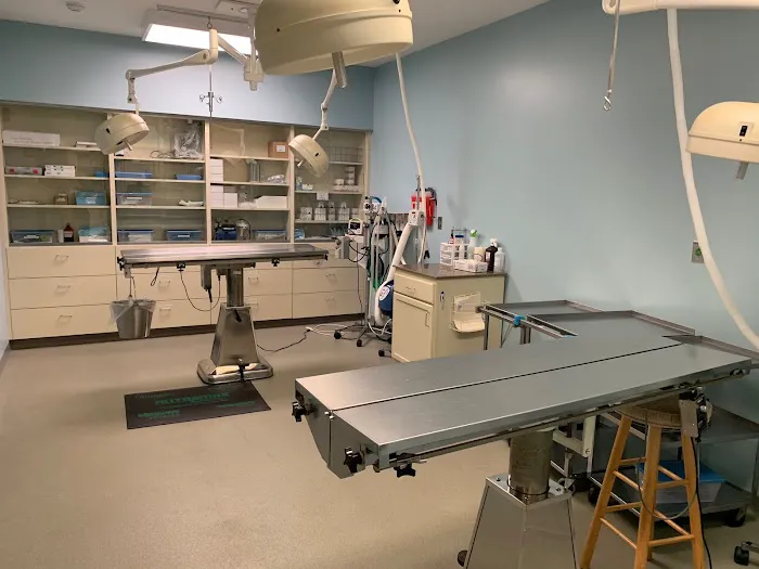 Bloomsburg Veterinary Hospital, Inc Picture 3