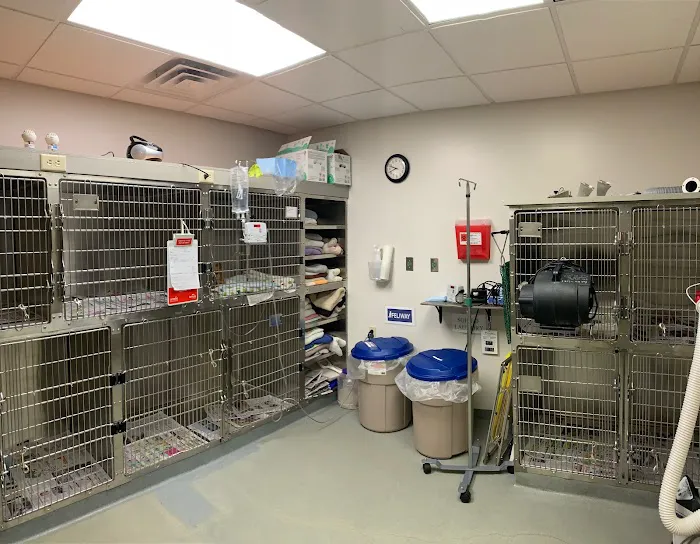 Bloomsburg Veterinary Hospital, Inc Picture 5