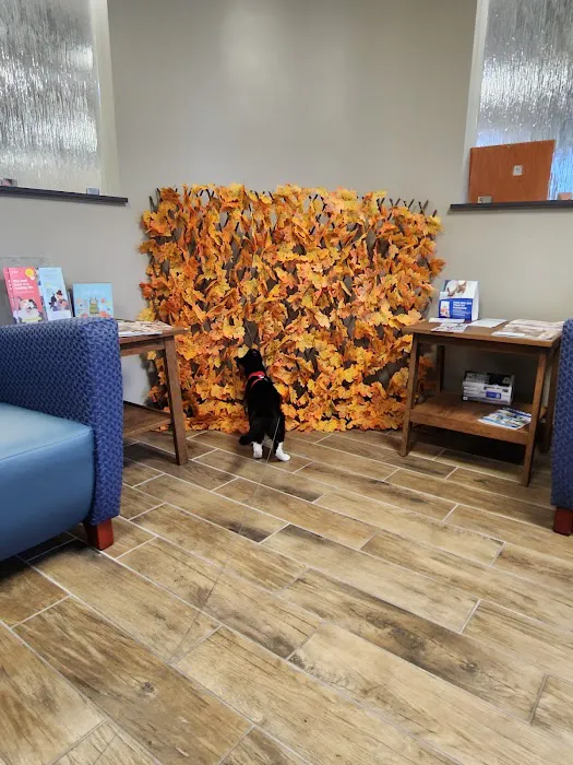 Bloomsburg Veterinary Hospital, Inc Picture 9