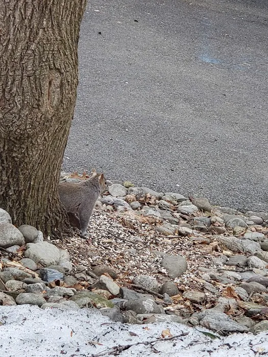 Hamburg Animal Hospital Picture 9
