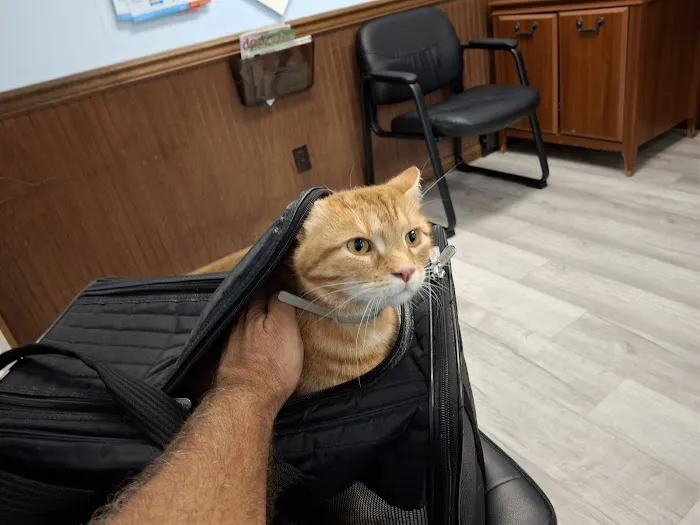 Hamburg Animal Hospital Picture 8