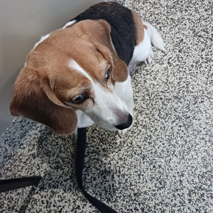 Eagleswood Veterinary Hospital Picture 10