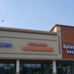 Little Egg Veterinarian