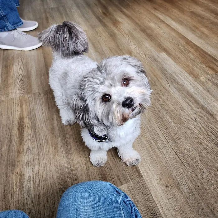Seaport Veterinary Center Picture 9