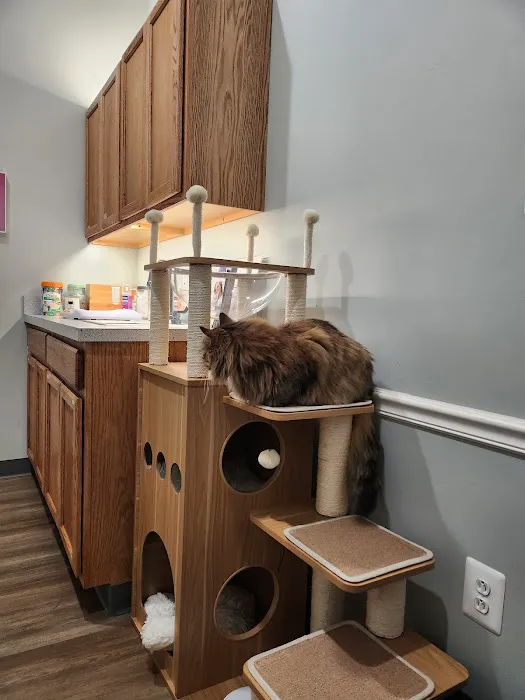 Seaport Veterinary Center Picture 3