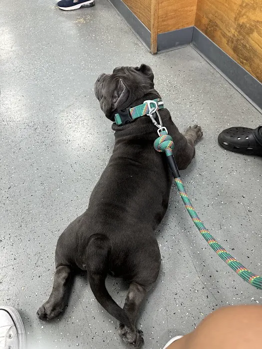 Pet Health Center Picture 7