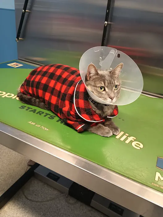 Elkins Park Veterinary Hospital Picture 6