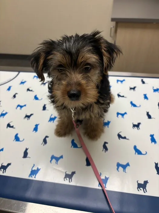 Vetco Total Care Animal Hospital Picture 1