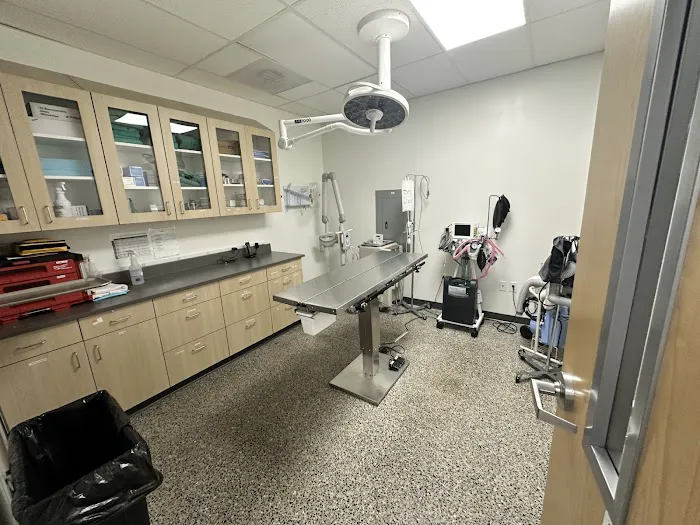 Vetco Total Care Animal Hospital Picture 3