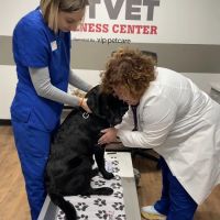 PetVet Vaccination Clinic ico