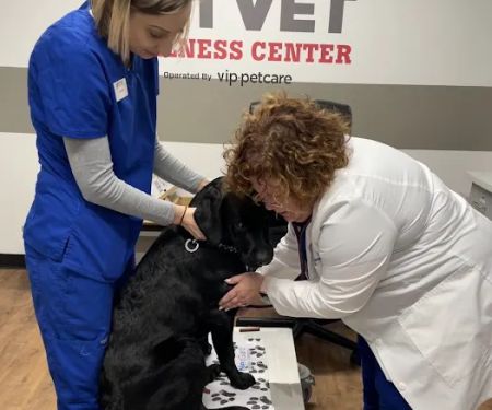 PetVet Vaccination Clinic