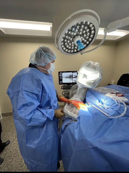 Veterinary Surgery Specialists Picture 10