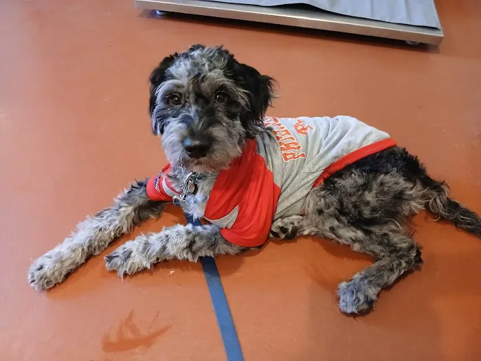 Cedar Brook Animal Hospital Picture 6