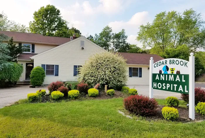 Cedar Brook Animal Hospital Picture 8